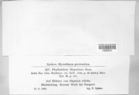 Image Associated With the Occurence